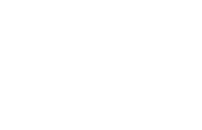Showami Platinum Logo